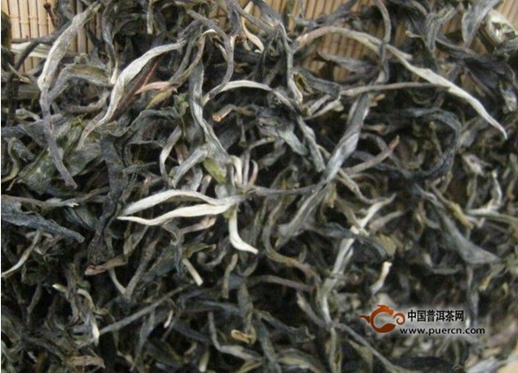 東莞茶商豪派300萬現金訂2014年普洱茶