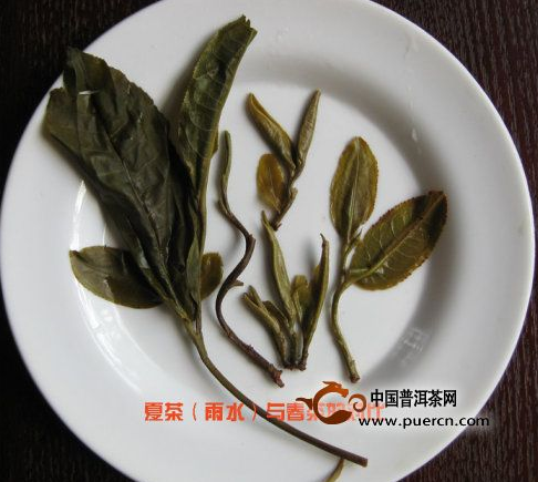 http://www.puercn.com/uploadfile/201408/20140830025528945.jpg